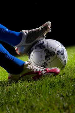 乐鱼体育赛事列表